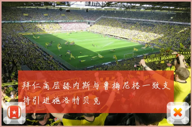 拜仁高层赫内斯与鲁梅尼格一致支持引进施洛特贝克