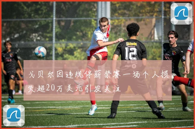 戈贝尔因违规停薪禁赛一场个人损失超20万美元引发关注