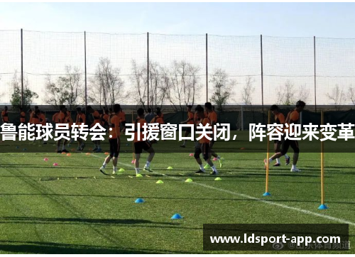 鲁能球员转会：引援窗口关闭，阵容迎来变革